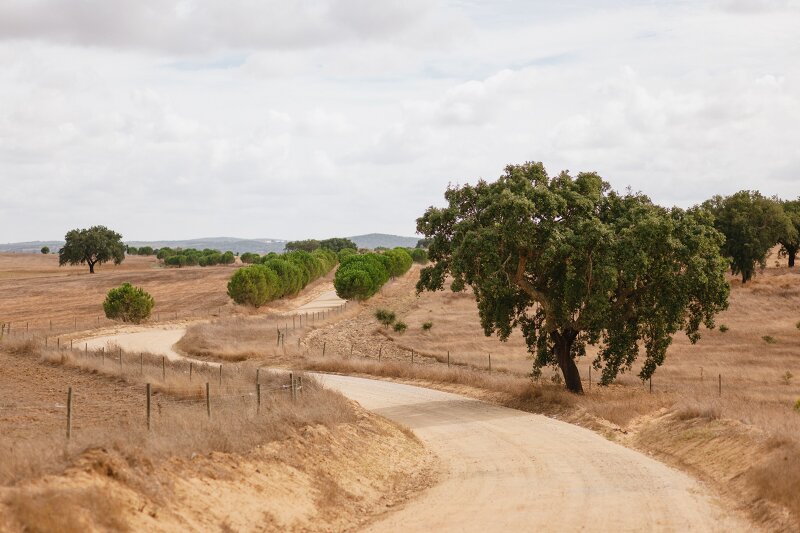 casamento-alentejo-03
